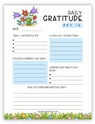 Gratitude & Reflection Journal